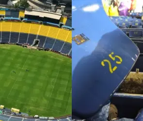Aficionado cae de las gradas del Estadio Ciudad de los Deportes