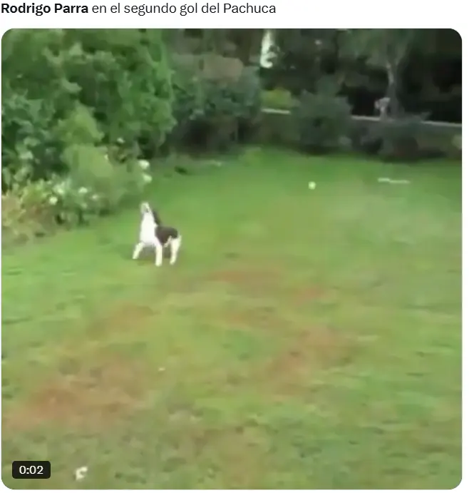 Una mala salida le costó el segundo gol de Pachuca
