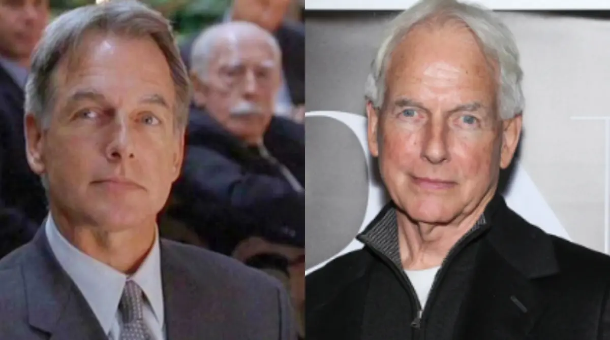 Mark Harmon: Interpretó a Ryan, novio de la Dra. Tess Coleman y que continuó en el mundo de la actuación en series y películas estadounidenses<br>
