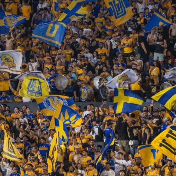Video: fuertes agresiones al finalizar el Tigres vs América