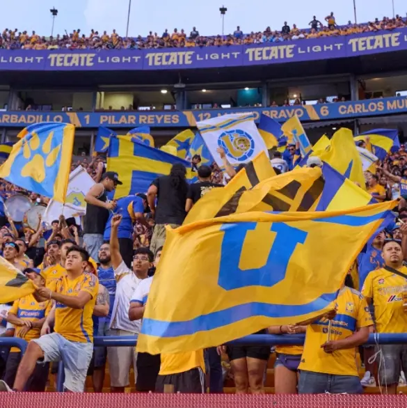 Tigres revela castigo a los detenidos tras riñas