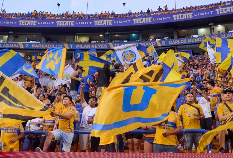 Tigres rompió el silencio sobre los actos violentos del pasado sábado Tigres rompió el silencio sobre los actos violentos del pasado sábado
