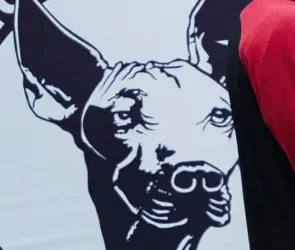 Histórico del futbol mexicano regresa con Xolos