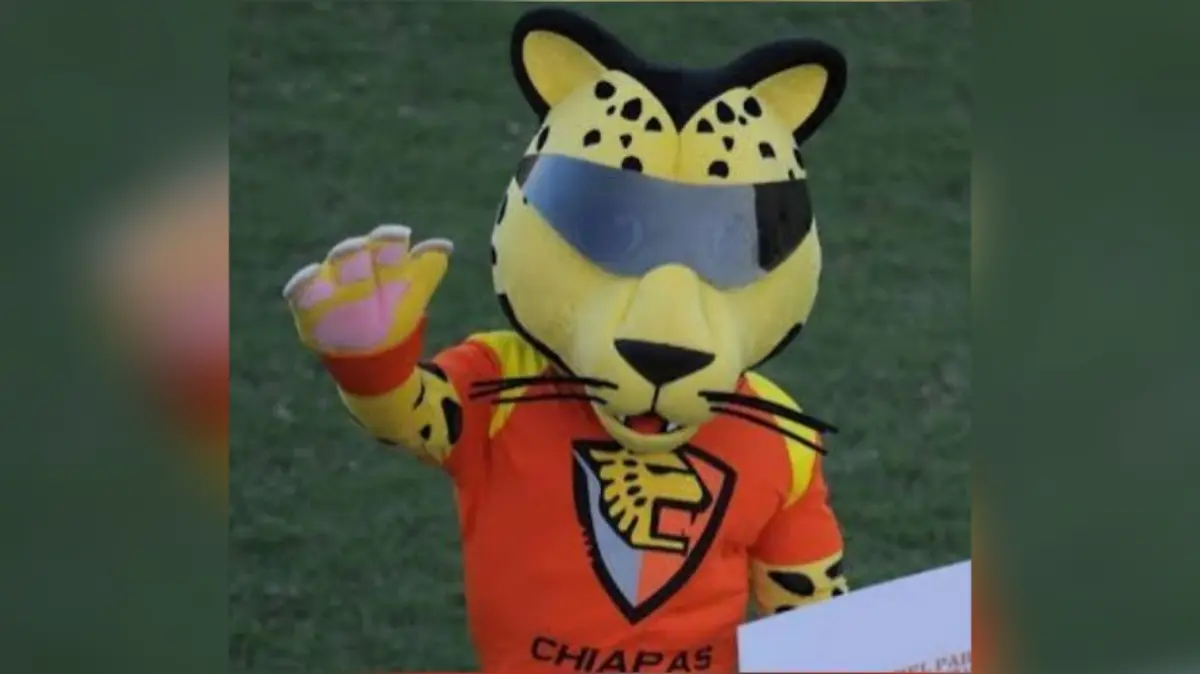 El Jaguar es uno de los animales más representativos de México. 