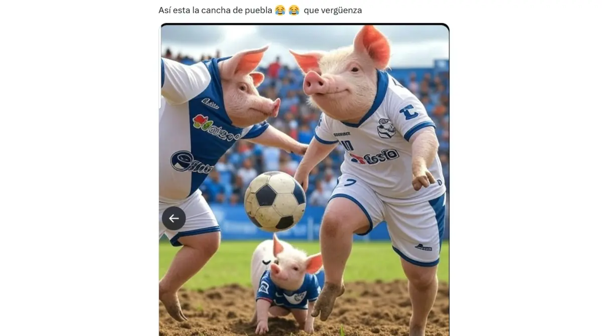 Las burlas y referencias al tipo de cancha no se hicieron esperar