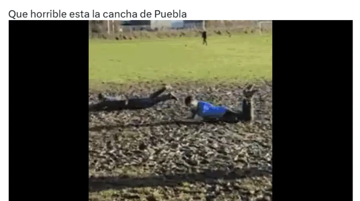 Los memes de los aficionados nuevamente demostraron su ingenio.