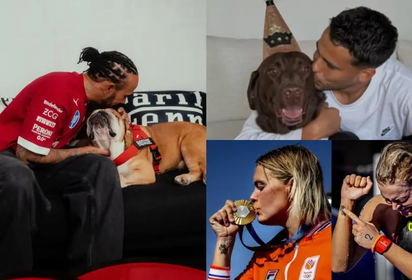 Muchos deportistas le han dicho adiós a sus perritos