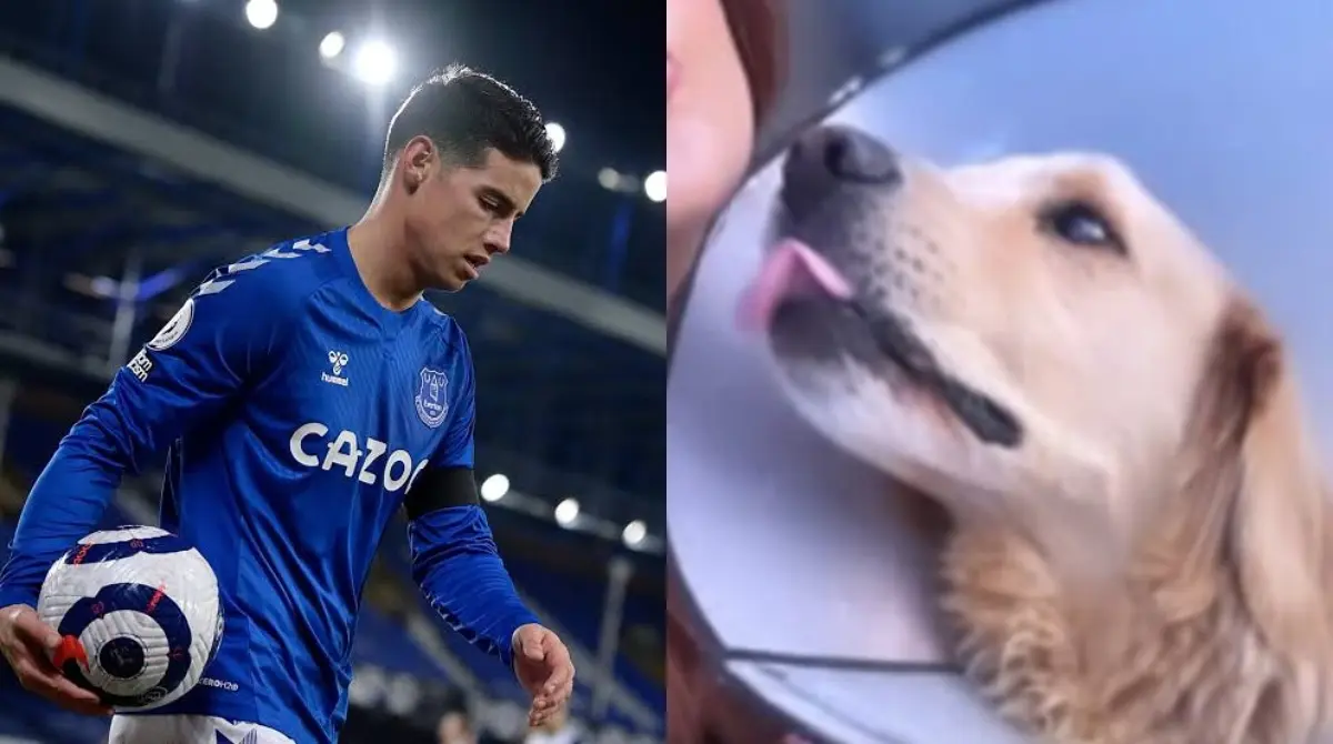 El 31 de diciembre de 2024, James Rodríguez le dijo adiós a Coqui, el perro de su familia