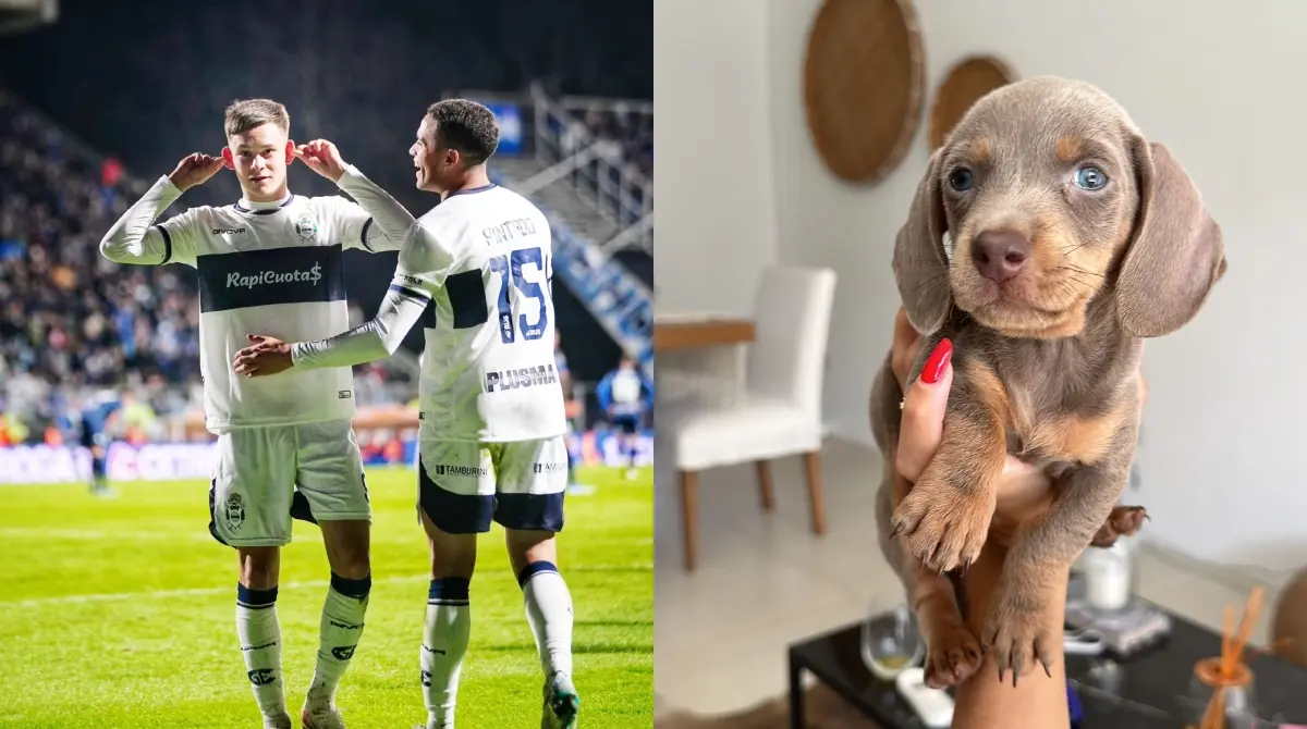 En mayo de 2024, el uruguayo Matías Abaldo le dedicó un gol a Mirko, su perrito recién fallecido