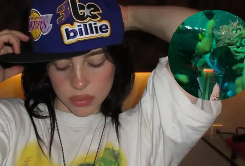 Billie Eilish fue agredida en pleno concierto