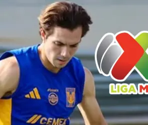 Los equipos que buscan rescatar a Córdova de Tigres