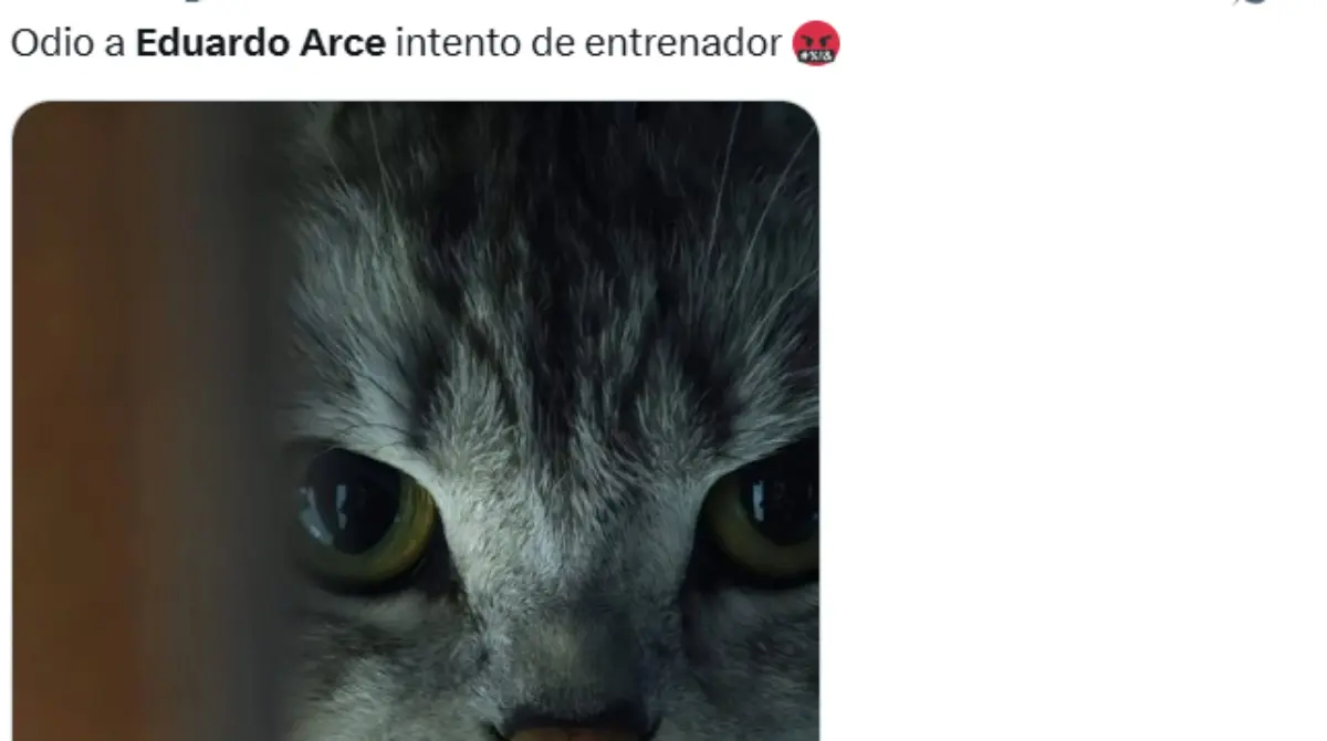 Sin embargo, México cayó ante Argentina con un marcador de 2-0