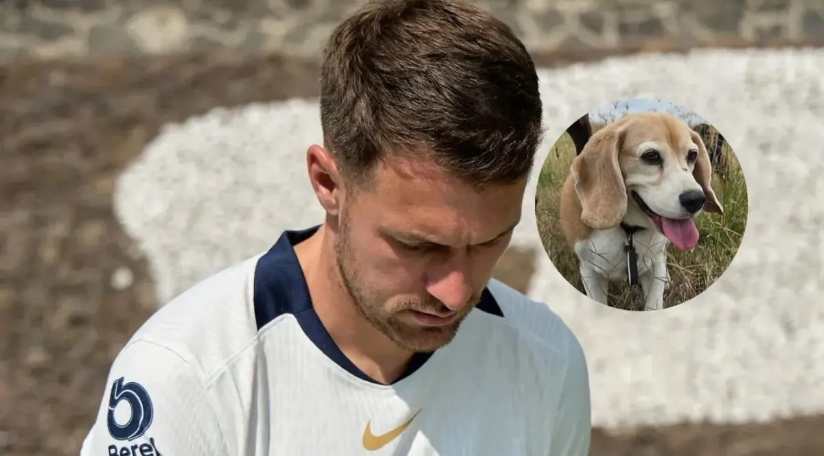  La mascota de Aaron Ramsey se extravió durante esta fecha FIFA 