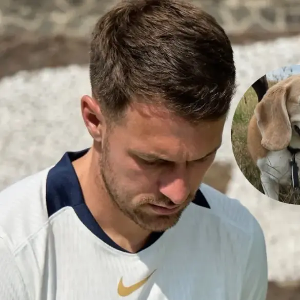 Pumas: Se perdió mascota de Aaron Ramsey, ofrecen recompensa