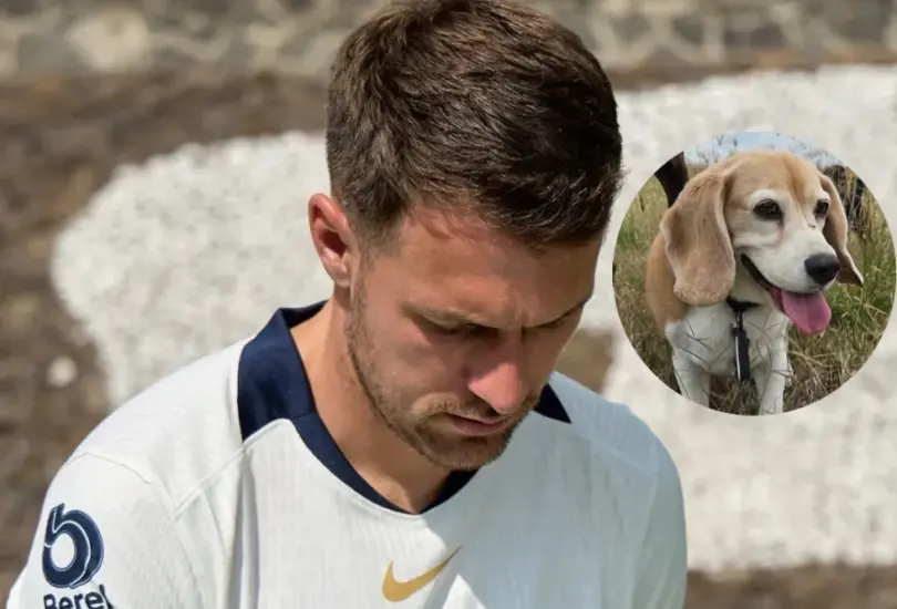 La mascota de Aaron Ramsey se extravió durante esta fecha FIFA La mascota de Aaron Ramsey se extravió durante esta fecha FIFA