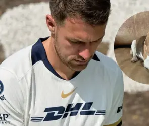 Aaron Ramsey convoca a una búsqueda masiva de su perrita