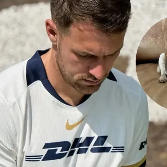 Aaron Ramsey convoca a una búsqueda masiva de su perrita