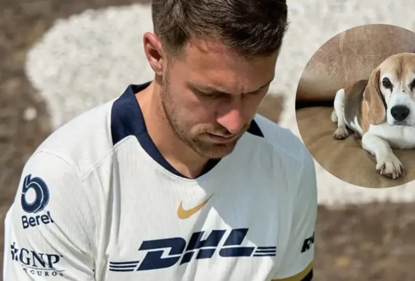 Aaron Ramsey vuelve a solicitar ayuda para la búsqueda de su perrita Halo Aaron Ramsey vuelve a solicitar ayuda para la búsqueda de su perrita Halo
