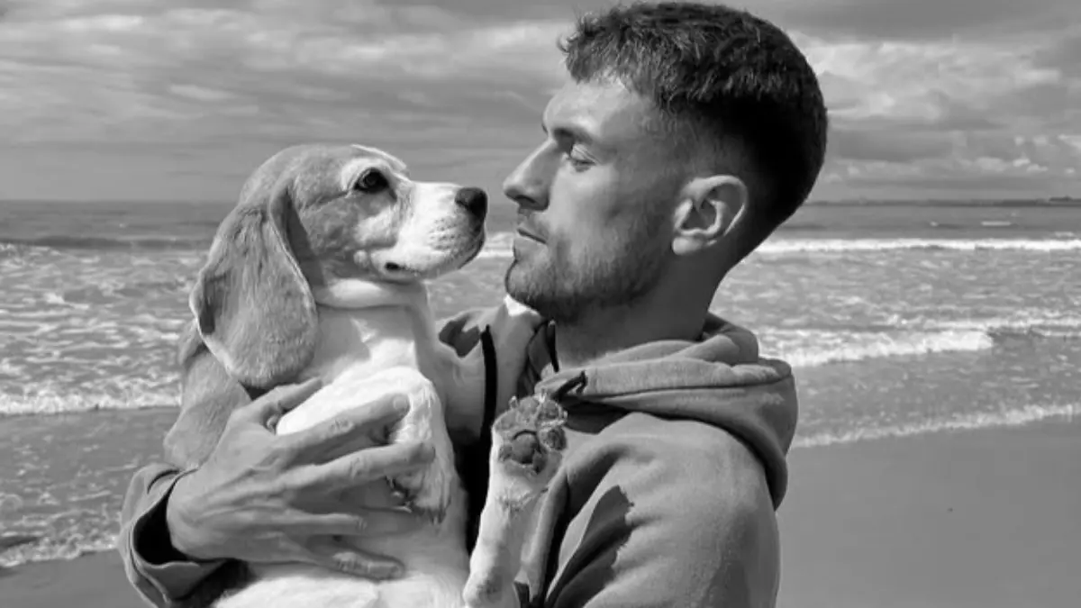  Halo, la perra de Aaron Ramsey lleva dos semanas perdida en Guanajuato 