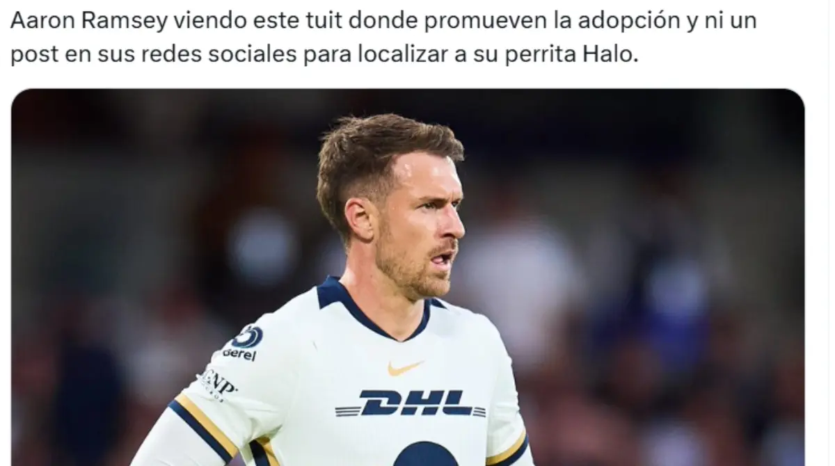 Aunque algunos justifican esta acción, otros más han lanzado fuertes críticas en redes sociales 