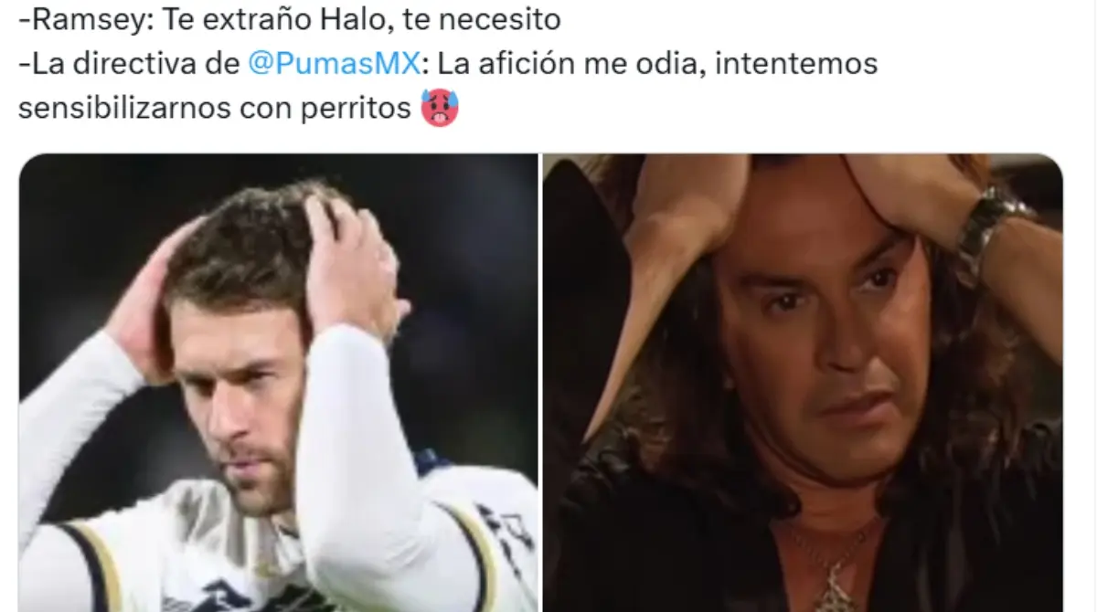 Y es que el futbolista galés perdió a su perrita Halo hace un par de días