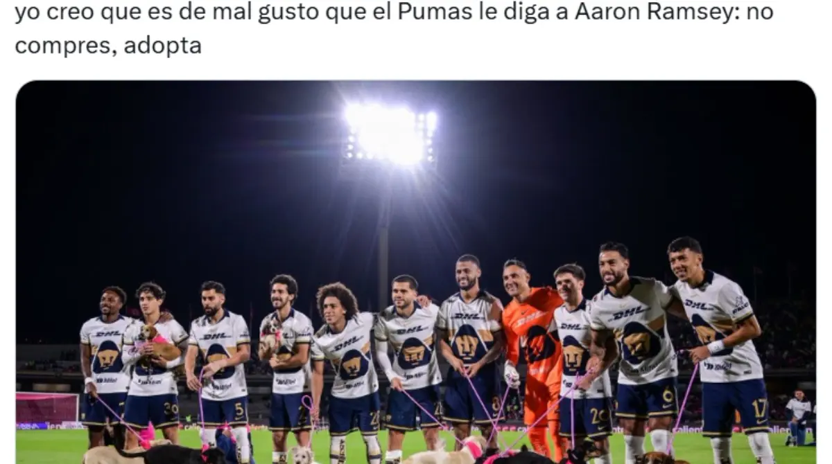 Y aunque ha ofrecido una gran recompensa por ella, no han podido dar con su paredero