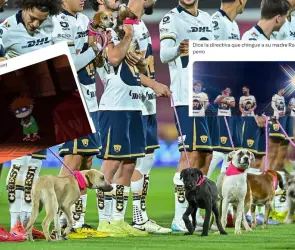 Memes se burlan de Pumas por falta de empatía con Aaron Ramsey