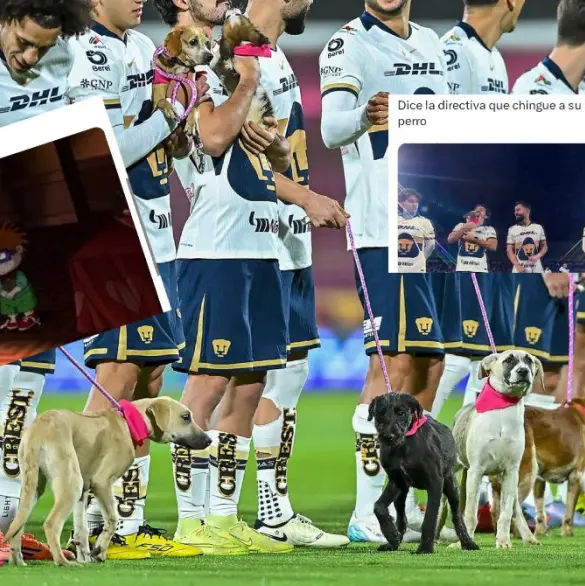 Memes se burlan de Pumas por falta de empatía con Aaron Ramsey