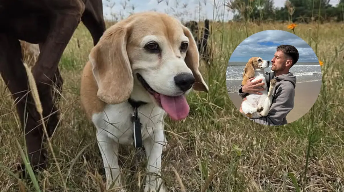  Aaron Ramsey rompe el silencio y acusa al rancho donde dejó a su perrita 