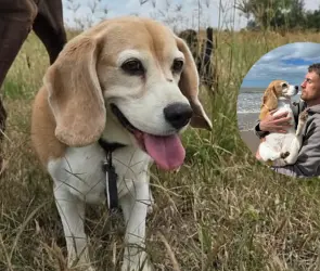 Aaron Ramsey conmueve con su nuevo mensaje sobre su perrita