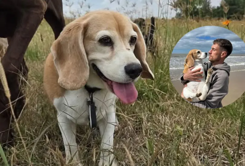 Aaron Ramsey rompe el silencio y acusa al rancho donde dejó a su perrita Aaron Ramsey rompe el silencio y acusa al rancho donde dejó a su perrita
