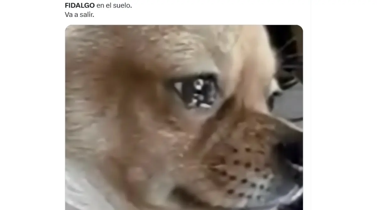 América vuelve a sufrir una baja sensible en esta jornada