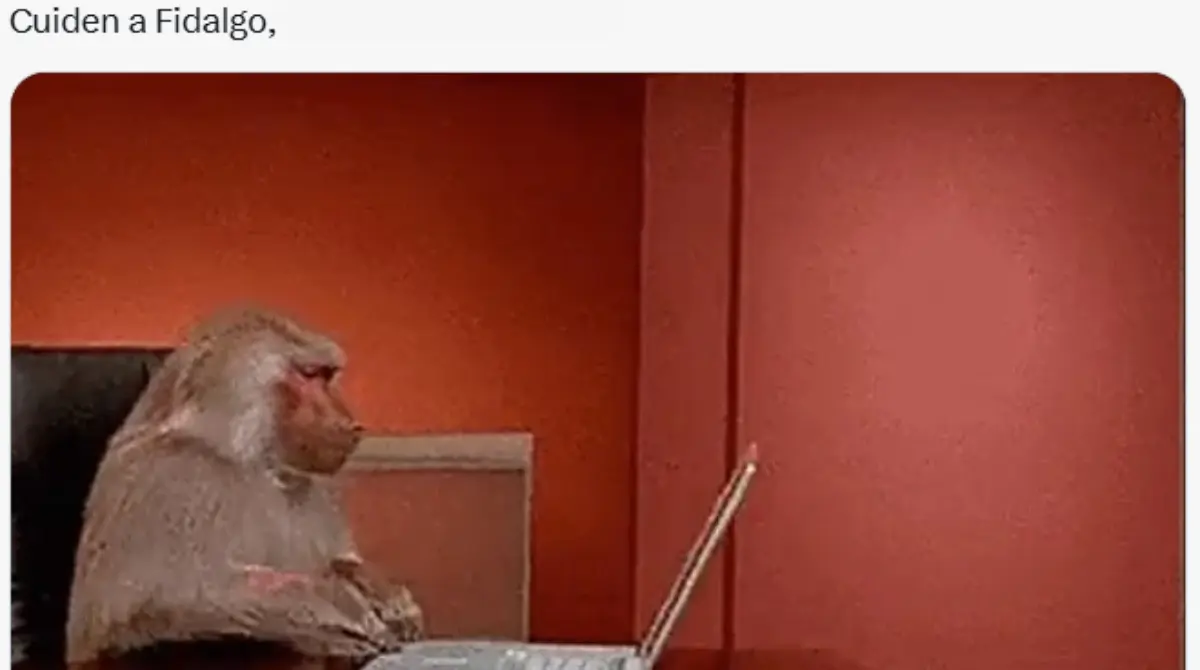 Y de manera inmediata las redes se encendieron con los memes de los aficionados que culpan a la directiva