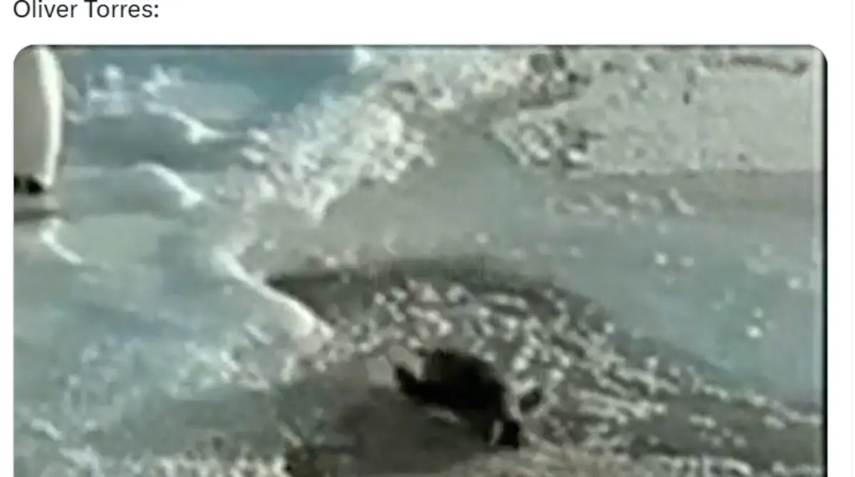 El futbolista español fue expulsado en el primer tiempo