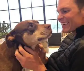 ¿Cómo es que Tom Brady logró clonar a su mascota?