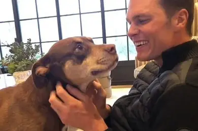 ¿Cómo es que Tom Brady logró clonar a su mascota? ¿Cómo es que Tom Brady logró clonar a su mascota?