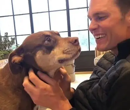 ¿Cómo es que Tom Brady logró clonar a su mascota?
