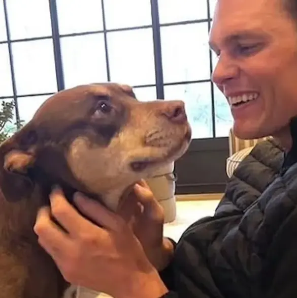 ¿Cómo es que Tom Brady logró clonar a su mascota? ¿Cómo es que Tom Brady logró clonar a su mascota?