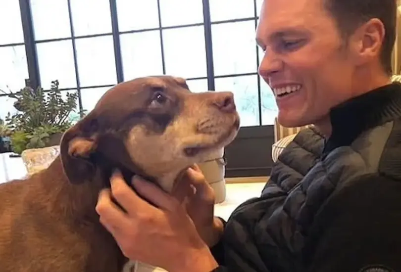 Tom Brady da un paso importante en la tecnología Tom Brady da un paso importante en la tecnología