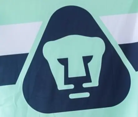 El técnico desconocido que llegaría a Pumas si Efraín Juárez falla