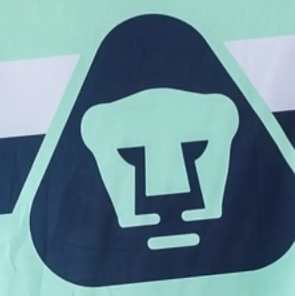 El técnico desconocido que llegaría a Pumas si Efraín Juárez falla El técnico desconocido que llegaría a Pumas si Efraín Juárez falla