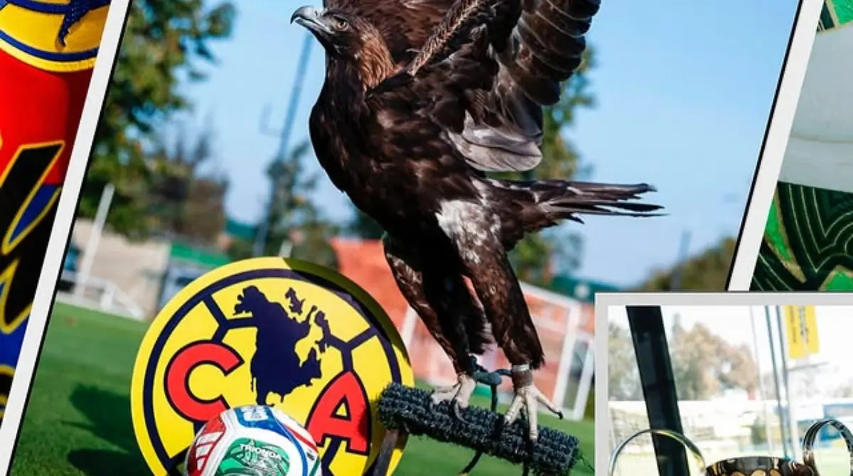  América busca refuerzo clave para la liguilla 