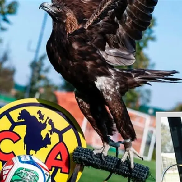 El refuerzo del América que debutaría en plena Liguilla El refuerzo del América que debutaría en plena Liguilla