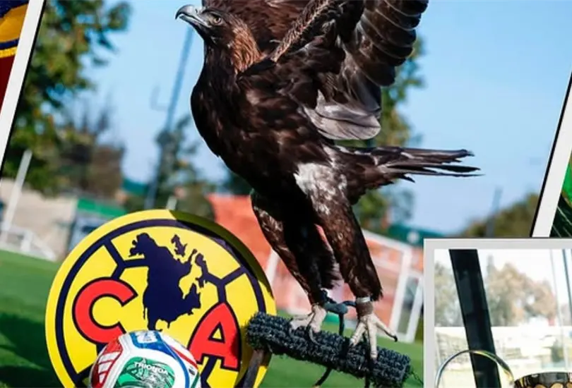 América busca refuerzo clave para la liguilla América busca refuerzo clave para la liguilla