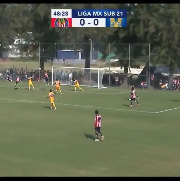 (Video) ¿Para Puskas? Cantera de Chivas deslumbra con goalzo (Video) ¿Para Puskas? Cantera de Chivas deslumbra con goalzo
