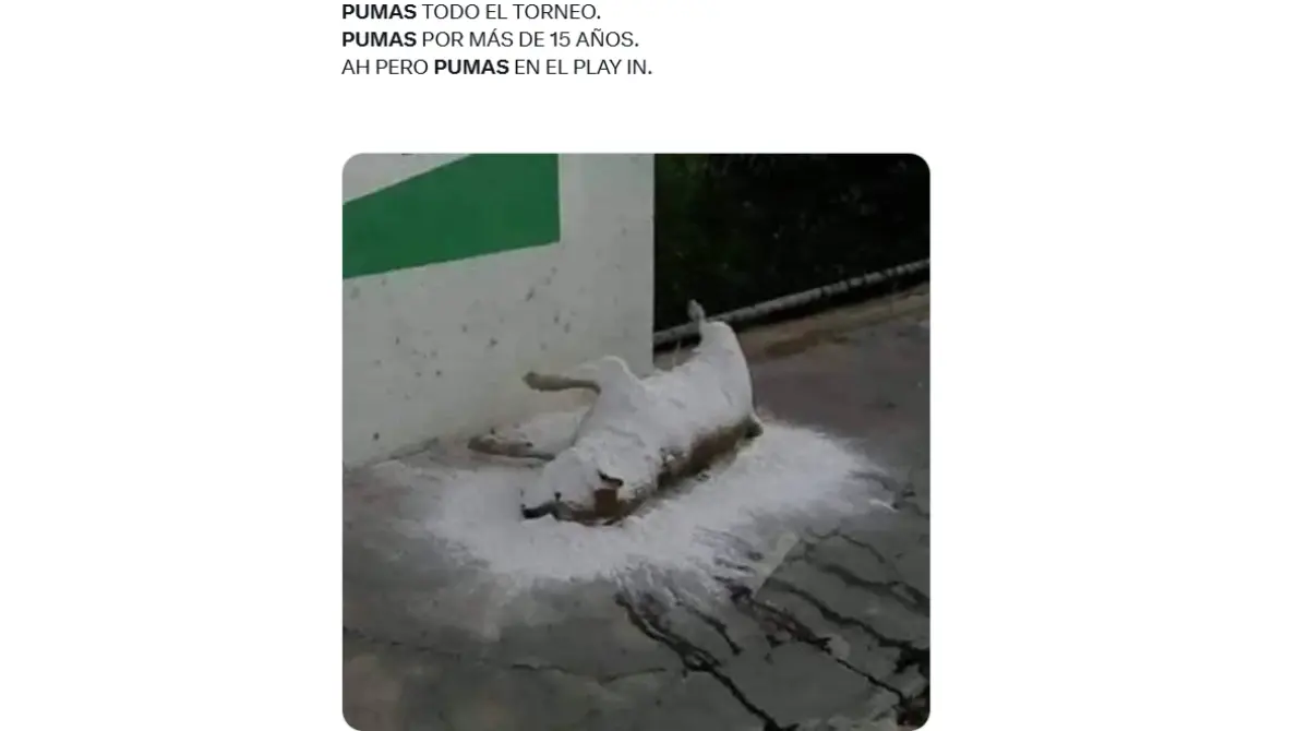 Por otro lado, Pachuca buscará su lugar en la liguilla enfrentando al perdedor del paritod de Tijuana vs Bravos de Juárez