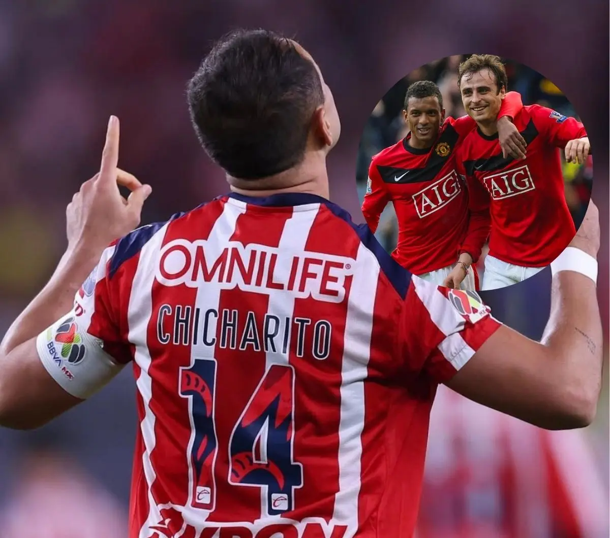  Bervatov sobre Chicharito 