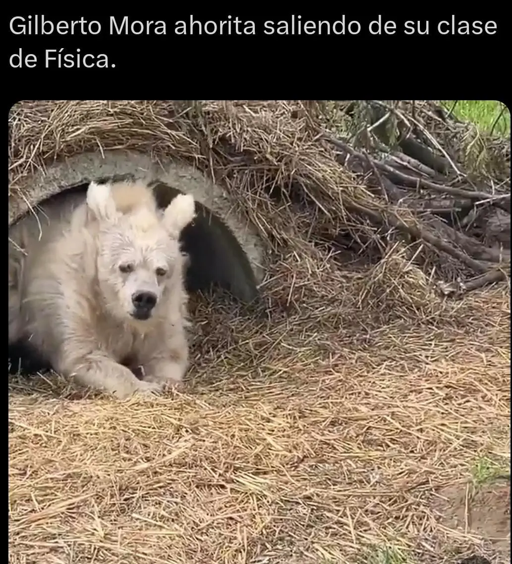 Morita con sueño