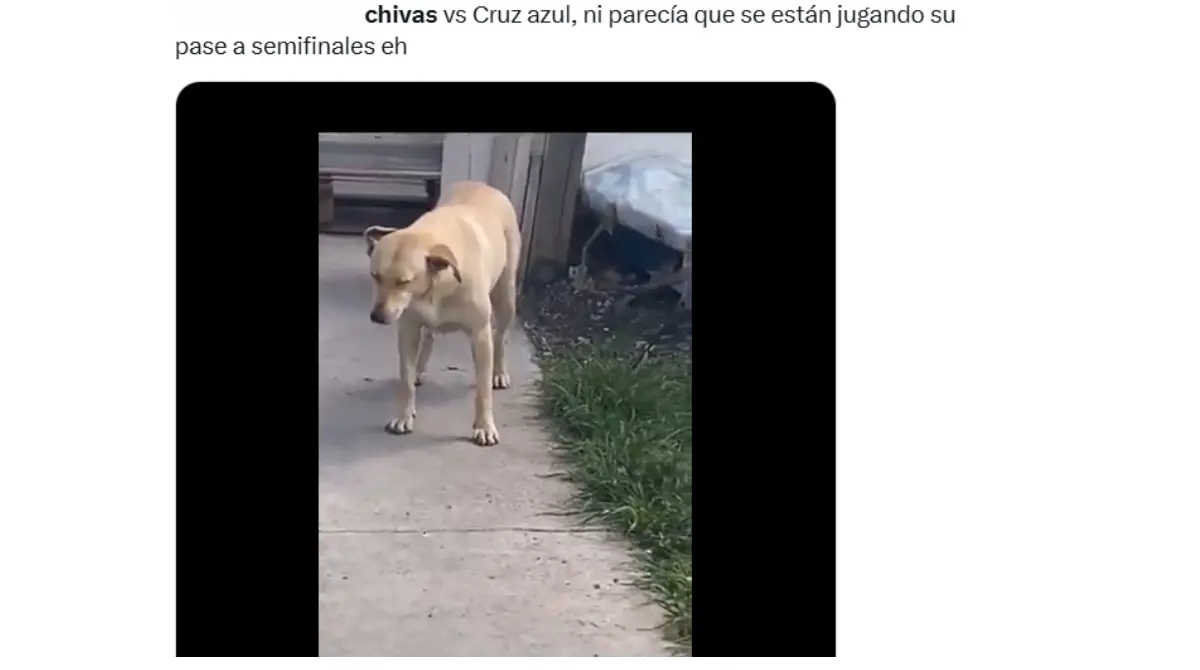 El partido de ida en el Estadio Akron dejó sensaciones extrañas para los aficionados