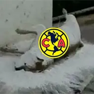 ¡A llorar, Águilas! Los mejores memes del América vs Rayados ¡A llorar, Águilas! Los mejores memes del América vs Rayados